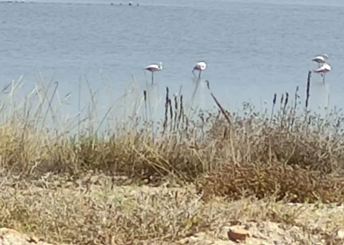 Avec Tropezienne Vue à L'ayguade ,climatisée ,parking Et Café Gratuits Alloggio in famiglia