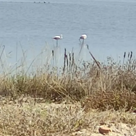 Avec Tropezienne Vue Rum i privatbostad