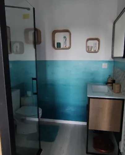 Avec Tropezienne Vue A L'ayguade ,climatisee ,parking Et Cafe Gratuits * Hyères