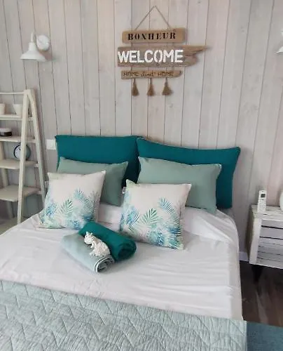 Avec Tropezienne Vue A L'ayguade ,climatisee ,parking Et Cafe Gratuits منزل للإقامة Hyères