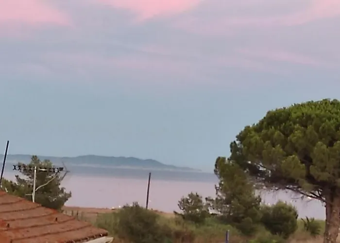 Avec Tropezienne Vue A L'ayguade ,climatisee ,parking Et Cafe Gratuits * Hyères